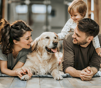 Vijf belangrijkste punten bij het kiezen van een zorgverzekering