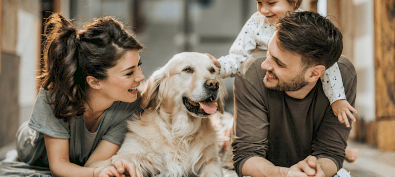 Vijf belangrijkste punten bij het kiezen van een zorgverzekering